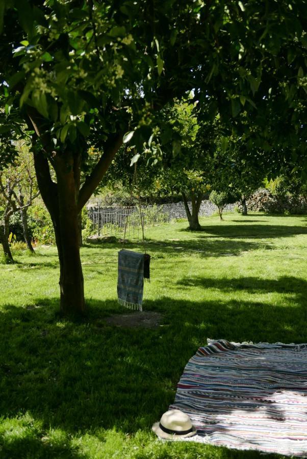 Casa Do Meio Em Quinta De Sao Pedro De Vir-A-Corca 몬산토 외부 사진