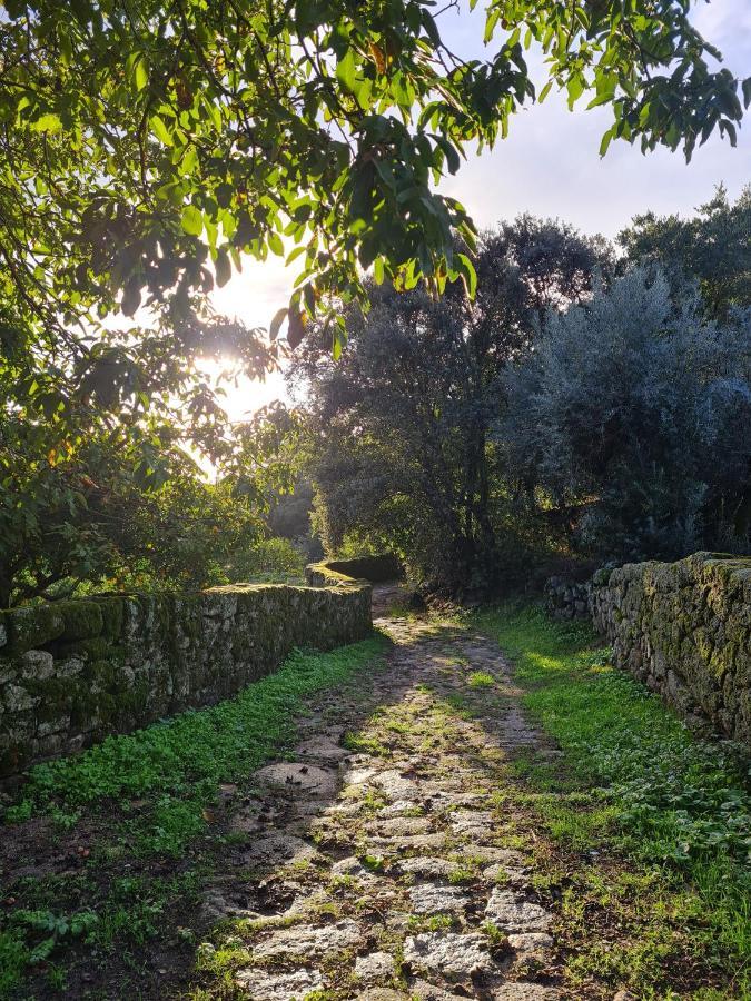 Casa Do Meio Em Quinta De Sao Pedro De Vir-A-Corca 몬산토 외부 사진