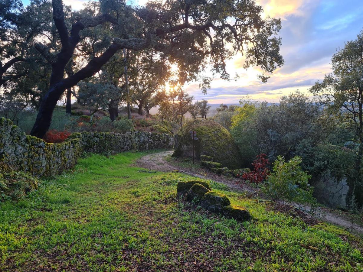 Casa Do Meio Em Quinta De Sao Pedro De Vir-A-Corca 몬산토 외부 사진